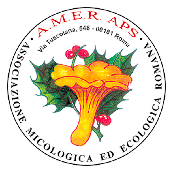 Associazione Micologica Ecologica Romana AMER